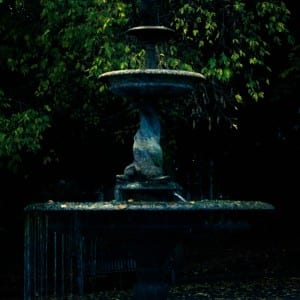 This image of the fountain in the Lincoln arboretum was taken during late afternoon.  The ISO I used was 1/100th, the f-stop was 5.6 and the exposure time was 1/30.